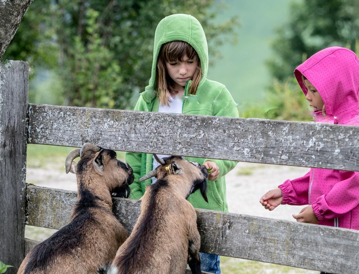 Christernhof Βίλα Maria Alm am Steinernen Meer Εξωτερικό φωτογραφία