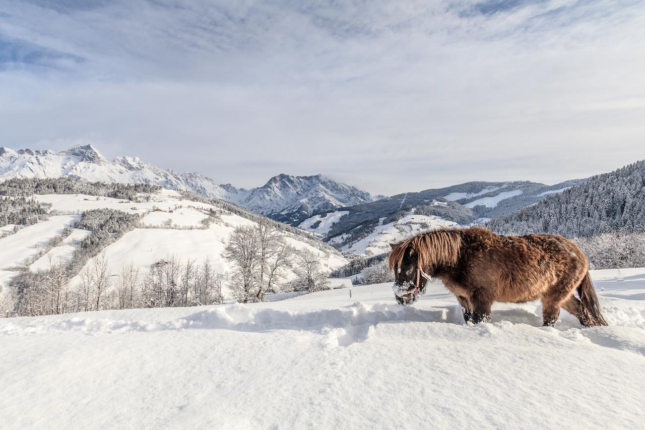 Christernhof Βίλα Maria Alm am Steinernen Meer Εξωτερικό φωτογραφία